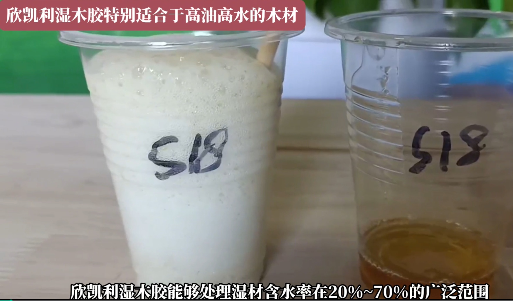 欣凱利濕木膠特別適合于高油高水的木材，快干、快固化