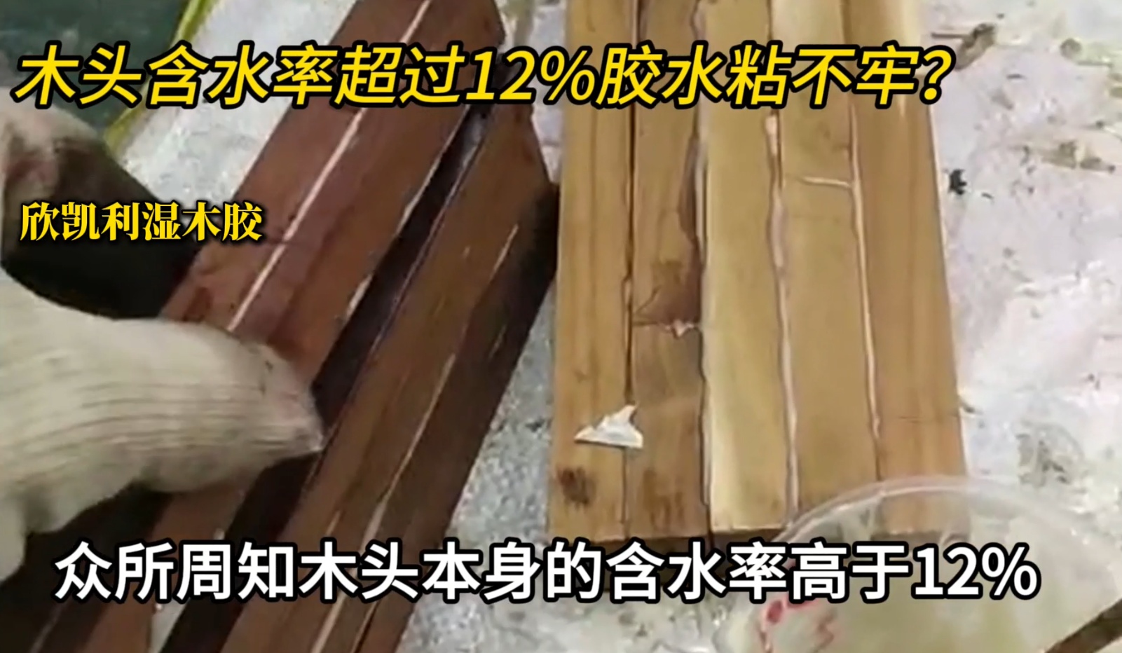 欣凱利濕木膠可用于：橡木、胡桃木、楓木、櫻桃木松木、杉木等木種